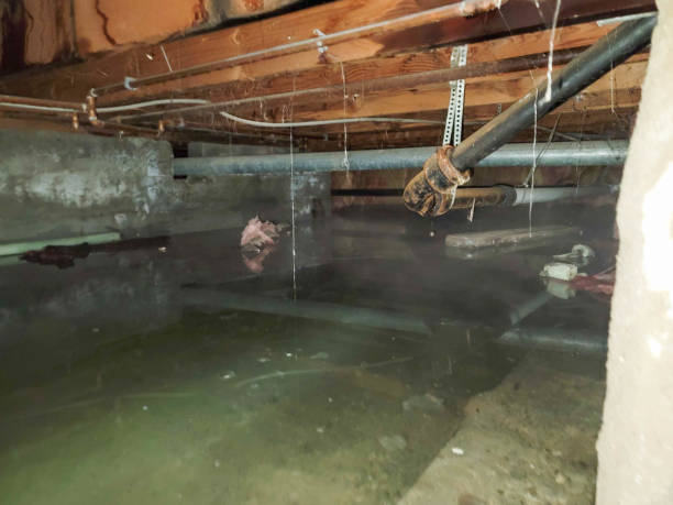 Best Flood restoration services  in Arkoma, OK