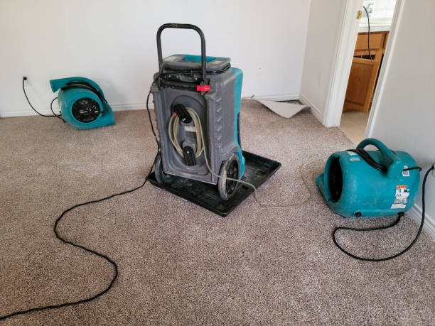 Reliable OK Water damage restoration Solutions
