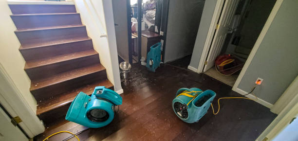 Best Professional water damage repair  in Arkoma, OK