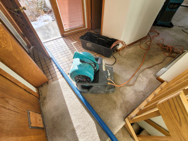 Best Water damage restoration near me  in Arkoma, OK