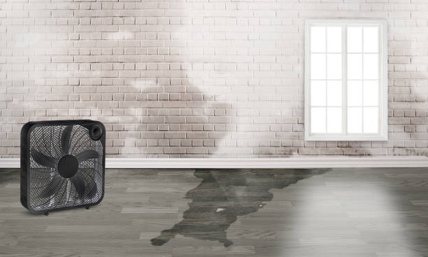 Best 24-hour water damage restoration  in Arkoma, OK